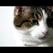Beth Meadows Photo 10