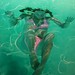 Sarah Harvey Photo 21