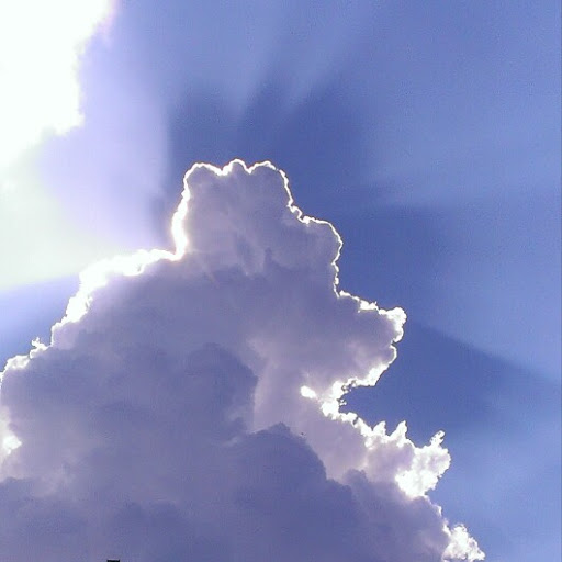 Robert Moreno Photo 48