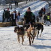 Jonathan Schechter Photo 22