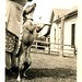 Julia Perry Photo 45