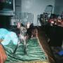 Elizabeth Morrill Photo 23