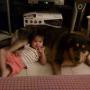 Trung Nguyen Photo 22