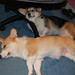 Leo Riley Photo 24