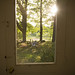 Tracy Spaulding Photo 16