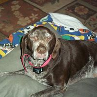 Linda Ingalls Photo 25