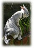 Jessica Abrahams Photo 26