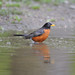 Robin Erickson Photo 19