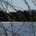 Carroll Fisher Photo 10