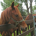 Teresa Becker Photo 14