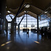 Salvador Barajas Photo 37
