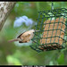 Carol Haggerty Photo 19