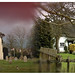 Paul Milton Photo 10
