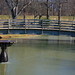Donna Pond Photo 12