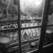Joyce Rittenhouse Photo 7