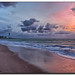 Dawn Quick Photo 14