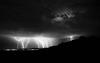 Ted Hooper Photo 12