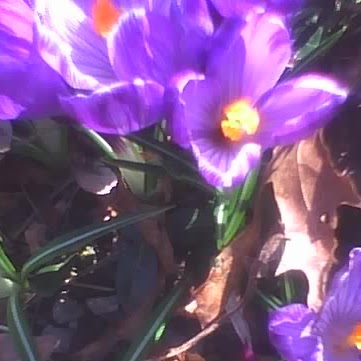 Robin Wadsworth Photo 29