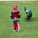 Joseph Peacock Photo 38