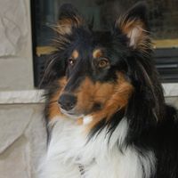 Nancy Trapp Photo 13