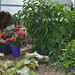 Samantha Morris Photo 14