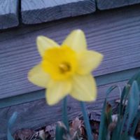 Pamela Carr Photo 26