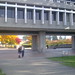 Angela Lovell Photo 14
