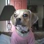 Bonnie Adkins Photo 18