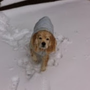Leslie Alcock Photo 3