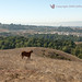 Sadie Bush Photo 7