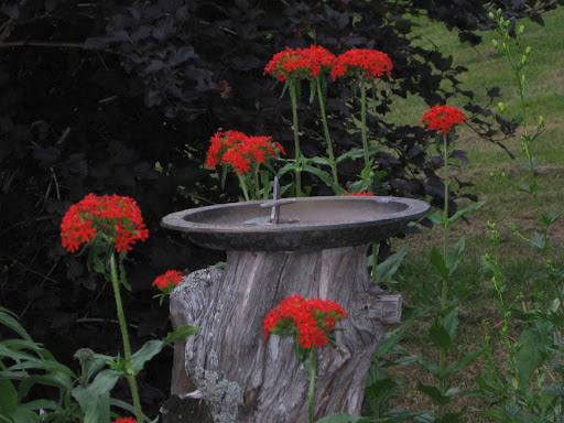 Wanda Elliott Photo 20