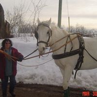 Lois Levy Photo 25