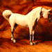 Deborah Turner Photo 33