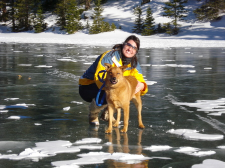 Jennifer Schmitt Photo 41