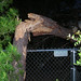 April Storms Photo 13