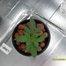Nancy Lacy Photo 6