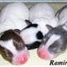 Tracey Ramirez Photo 13