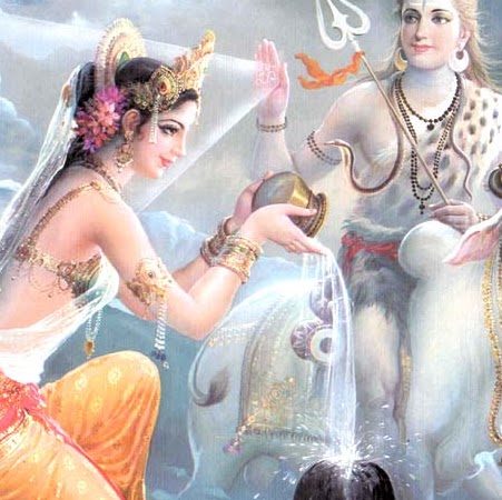 Shobha Gupta Photo 32