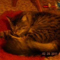 Paulette Gillespie Photo 3