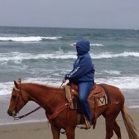 Melissa Hawkes Photo 8