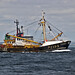 William Stevenson Photo 39