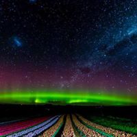 Todd Workman Photo 26