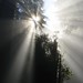 George Macdonald Photo 14