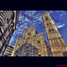 Maria Tocco Photo 10