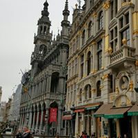 Nelson Andrade Photo 26