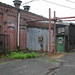 Carolyn Phillips Photo 16