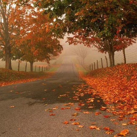 Syed Iftekhar Photo 9