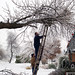 Marianne Everhart Photo 9