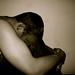 William Stull Photo 16