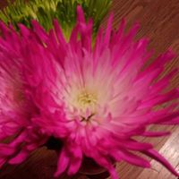 Margaret Meeks Photo 5